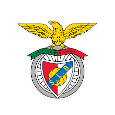Benfica apresenta resultados negativos à CMVM